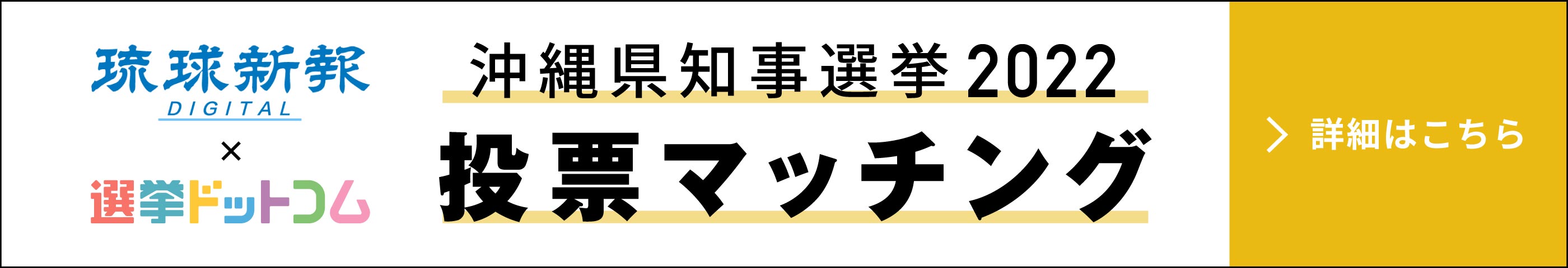 沖縄県知事選挙2022 投票マッチング